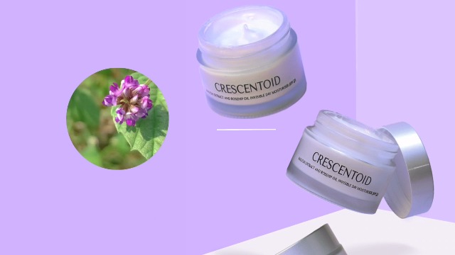 Celesti Skin Crescentoid Moisturizer for Face with SPF 25++ (50ml